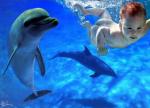 baby and dolfin