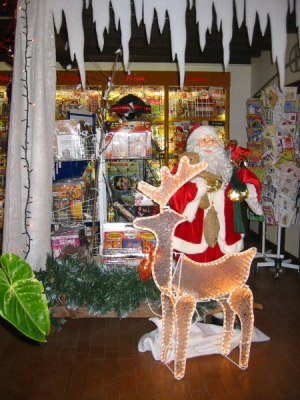 VIVE NOEL